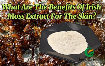 Kokie airių samanų ekstrakto privalumai odai?