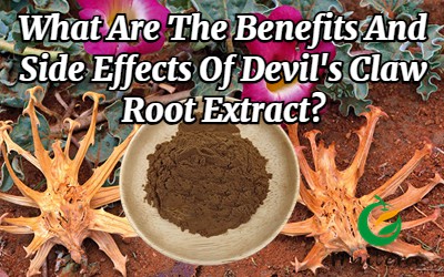 Kokie yra velnio letenų šaknų ekstrakto privalumai ir šalutinis poveikis?