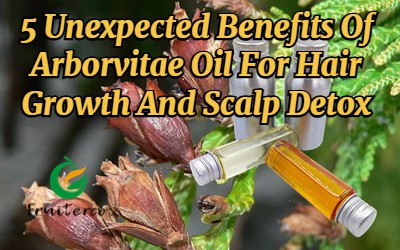 5 netikėti Arborvitae aliejaus pranašumai plaukų augimui ir galvos odos detok...