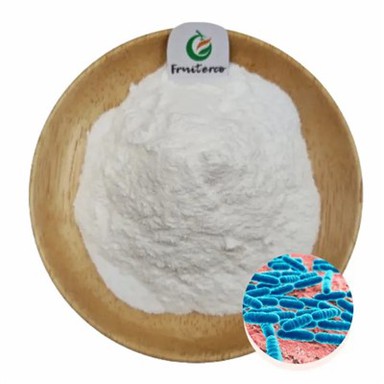 Bifidobacterium gyvūno milteliai