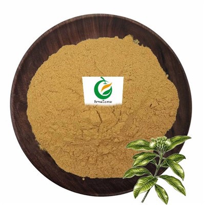 Eucommia Ulmoides ištrauka