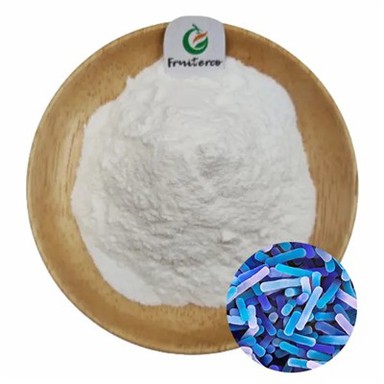 Lactobacillus bulgaricus milteliai