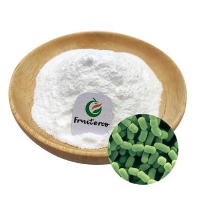 Lactobacillus fermentum probiotikas