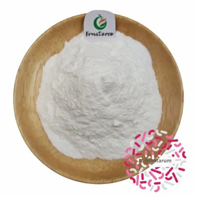 Lactobacillus plantarum milteliai