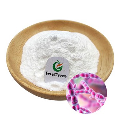 Streptococcus termofilus probiotikas